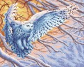 Алмазная мозаика "Полярная сова", 48*38 см (192*152 клет.) (М.П. Студия)